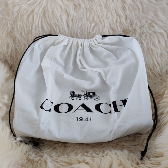 Coach 1941 Rogue 36 with Colourblock Snakeskin - Picture 16 of 16